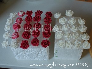 dsc_3236_ruze_vsechny_web