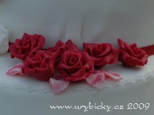 dsc_3281_ruze_side_web