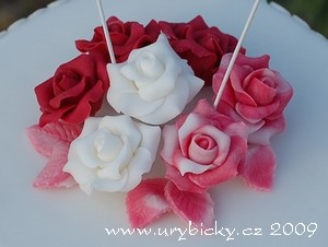 dsc_3302_ruze_top_web