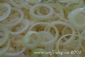 090508_dsc_3606_zeli_350_wod