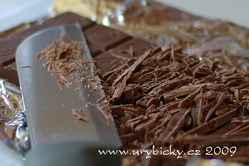 090508_dsc_3632_coko_350_wod