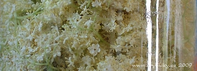 090520_dsc_2794_bez_vlahvi_09_640_wod 090520_dsc_2794_bez_vlahvi_09_640_wod