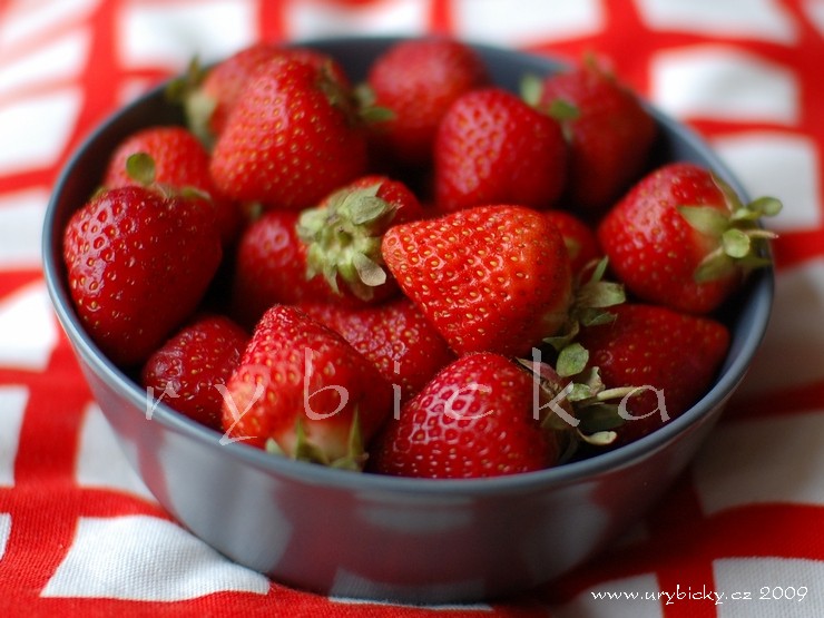 090627_dsc_4966_jahody_740_wod