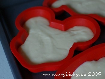 dsc_4496_testo_mickey_350_wod