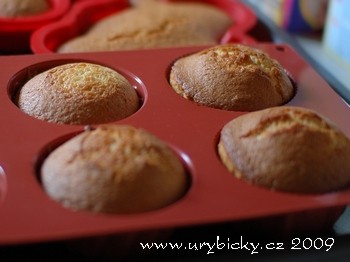 dsc_4498_testo_fin_350_wod