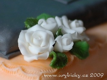 dsc_4941_57_ruze_350_wod