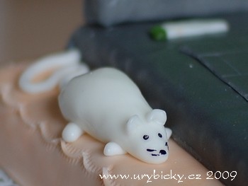 dsc_4943_57_mys_350_wod