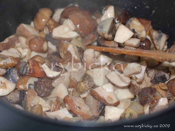 dsc_5066_hriby_vhrnci_740_wod dsc_5066_hriby_vhrnci_740_wod