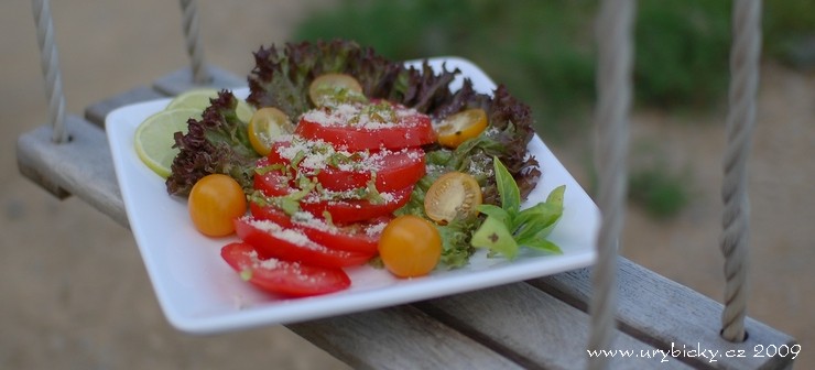 090730_dsc_6569_salatek_na_houpacce_740_wod