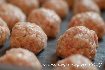 dsc_6280_koule_350_wod1