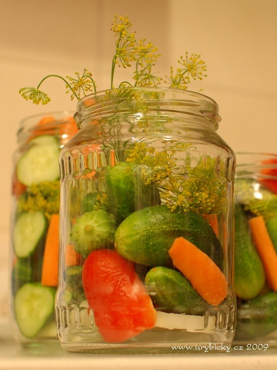 dsc_6714_okurky_555_wod