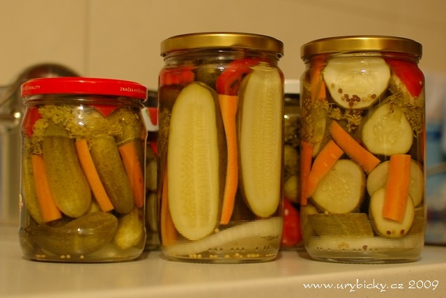 dsc_6728_hotovo_640_wod dsc_6728_hotovo_640_wod