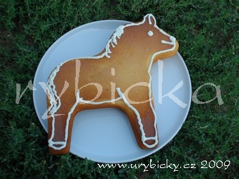 dsc_7485_kun_350_wod