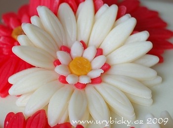 dsc_7642_60_detail_350_wod