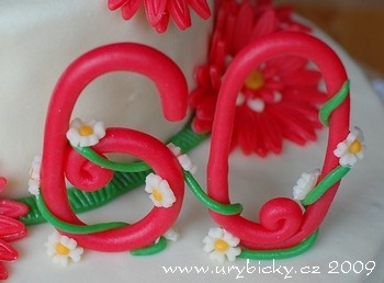 dsc_7646_60_cislo_350_wod