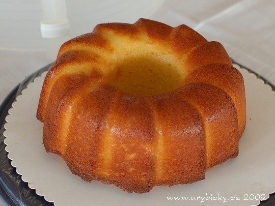 dsc_8091_pomerancova_540w dsc_8091_pomerancova_540w