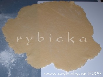 dsc_9063_prenaseni_350w