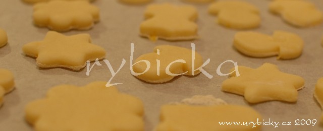 dsc_9290_sus_plech_640w dsc_9290_sus_plech_640w