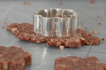 dsc_9392_hippe_vykraj_350w