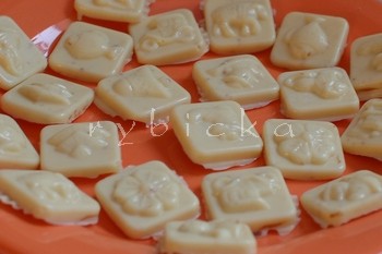 dsc_9440_coko_bila_350w