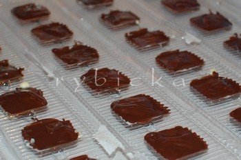 dsc_9451_coko_tmava_350w