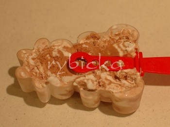 dsc_9787_plneni2_350w dsc_9787_plneni2_350w