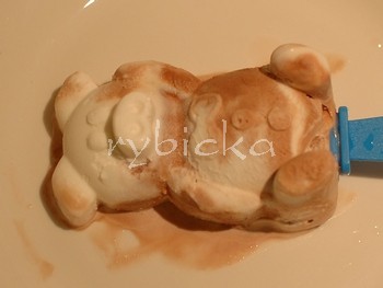 dsc_9798_vyklopeno1_350w dsc_9798_vyklopeno1_350w