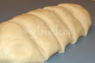 dsc_0093_testo_350_w