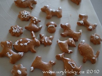 dsc_1647_pernicky_350w dsc_1647_pernicky_350w