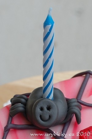 dsc_4174_128pavouk1_300w