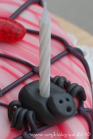 dsc_4176_128pavouk2_300w