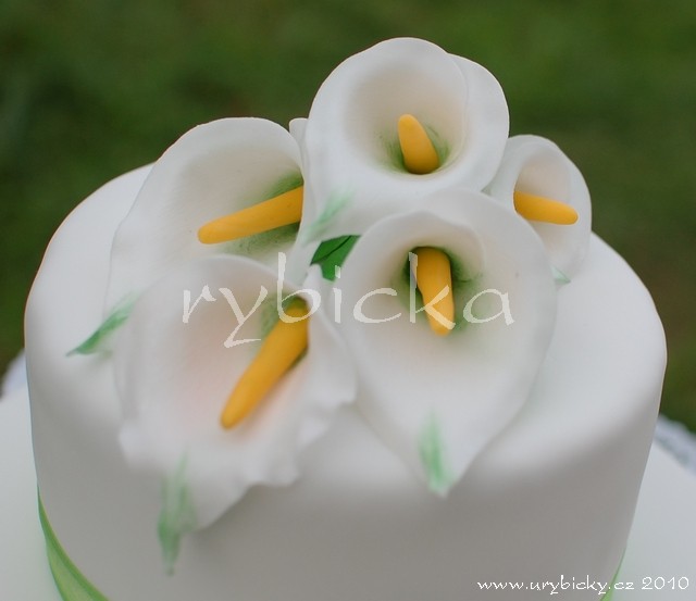 dsc_4307_130_kaly_detail_640w