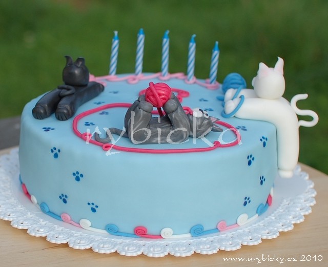 dsc_4339_132_kotata_zezadu_640w dsc_4339_132_kotata_zezadu_640w