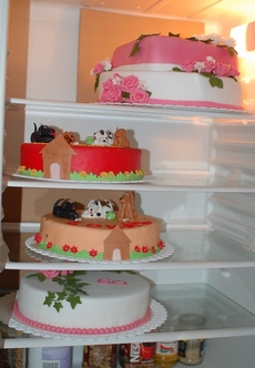 dsc_5209_lednice_0345_230