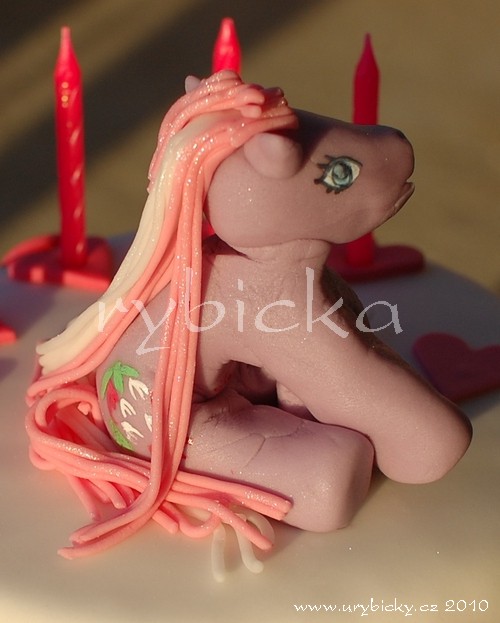 dsc_5430_konik_detail_500w