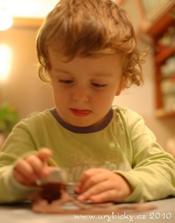 dsc_5705_kubik_vykrajuje_350w