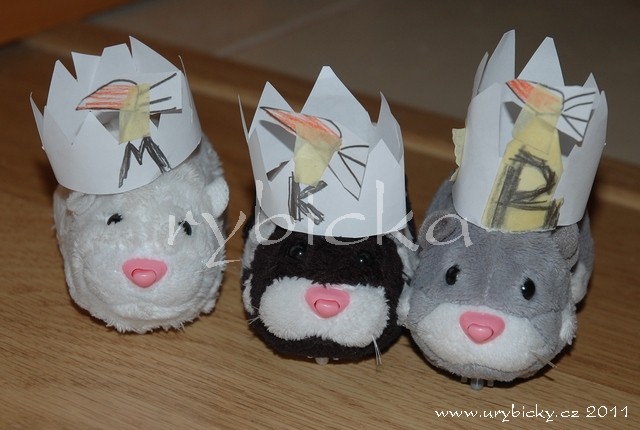 dsc_6420_krecci_640w