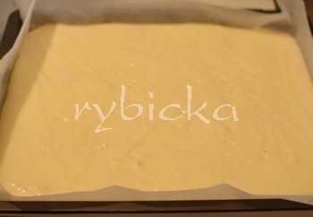 dsc_9023_pud_plech_350w