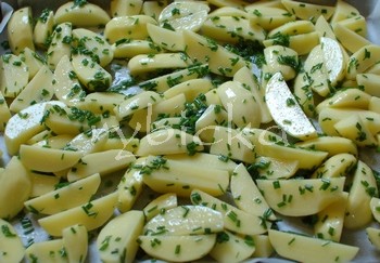 dsc_9082_plechpred_350w