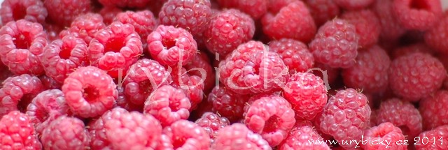 dsc_9223_maliny_640w