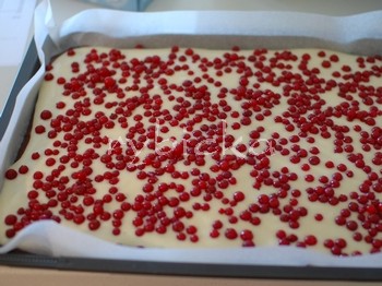 dsc_9731_posypane_350w