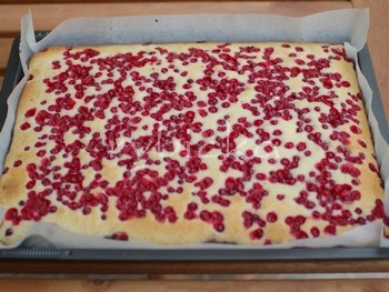 dsc_9739_upeceno_350w