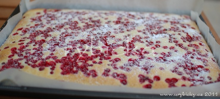 dsc_9748_pocukrovana_740w